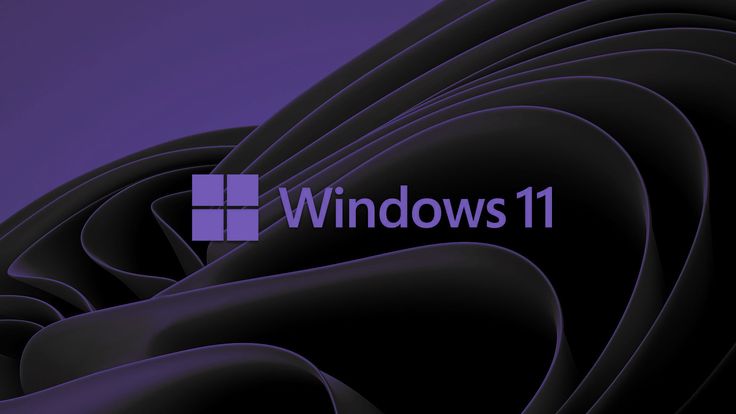 windows 11